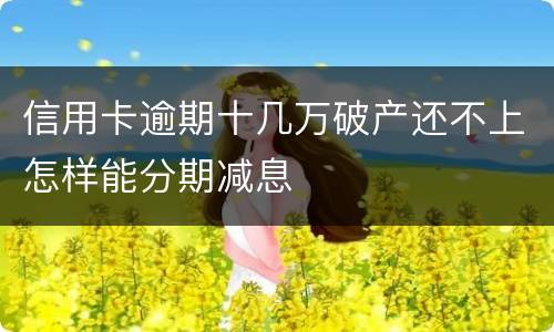 信用卡逾期十几万破产还不上怎样能分期减息
