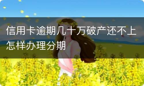 信用卡逾期几十万破产还不上怎样办理分期