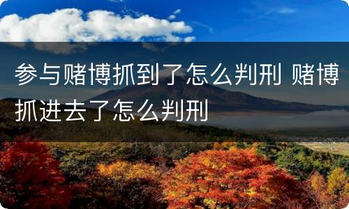参与赌博抓到了怎么判刑 赌博抓进去了怎么判刑