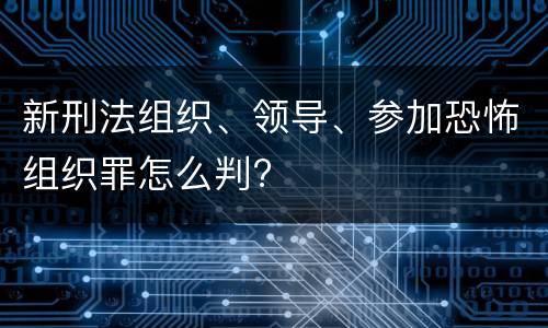新刑法组织、领导、参加恐怖组织罪怎么判?