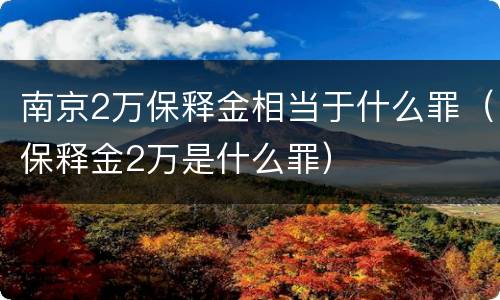 南京2万保释金相当于什么罪（保释金2万是什么罪）