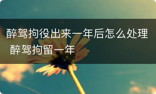 醉驾拘役出来一年后怎么处理 醉驾拘留一年