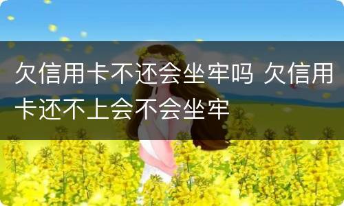 欠信用卡不还会坐牢吗 欠信用卡还不上会不会坐牢