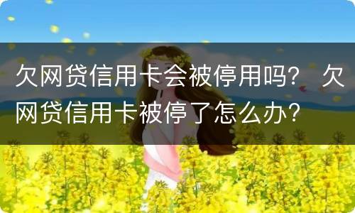 欠网贷信用卡会被停用吗？ 欠网贷信用卡被停了怎么办?