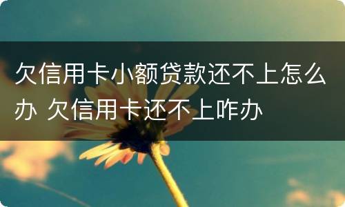 欠信用卡小额贷款还不上怎么办 欠信用卡还不上咋办