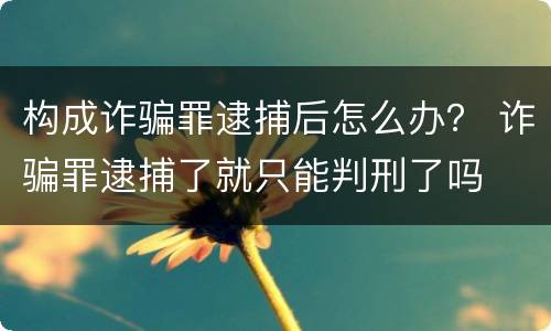 构成诈骗罪逮捕后怎么办？ 诈骗罪逮捕了就只能判刑了吗