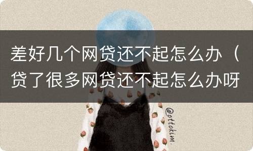 差好几个网贷还不起怎么办（贷了很多网贷还不起怎么办呀）