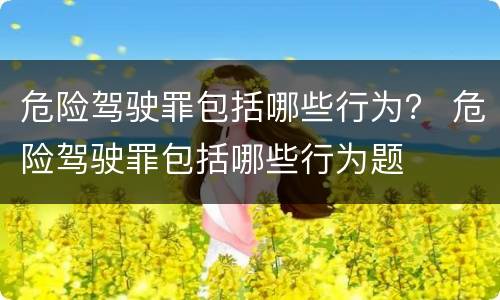 危险驾驶罪包括哪些行为？ 危险驾驶罪包括哪些行为题