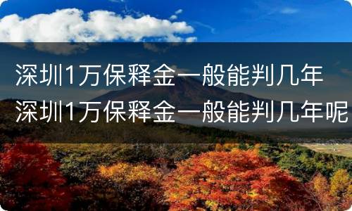 深圳1万保释金一般能判几年 深圳1万保释金一般能判几年呢