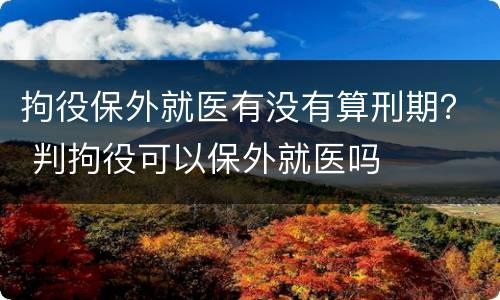 拘役保外就医有没有算刑期？ 判拘役可以保外就医吗