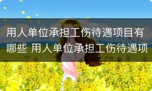 用人单位承担工伤待遇项目有哪些 用人单位承担工伤待遇项目有哪些内容