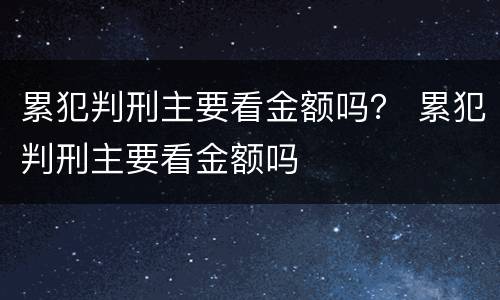 累犯判刑主要看金额吗？ 累犯判刑主要看金额吗