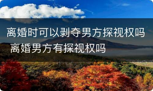 离婚时可以剥夺男方探视权吗 离婚男方有探视权吗