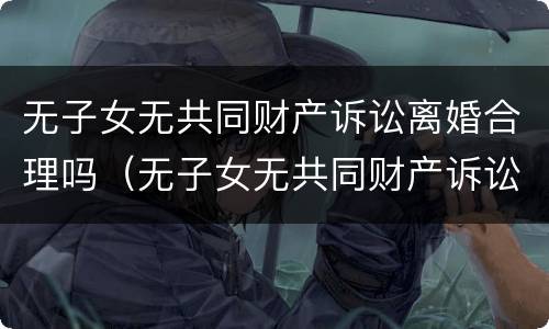 无子女无共同财产诉讼离婚合理吗（无子女无共同财产诉讼离婚合理吗怎么判）