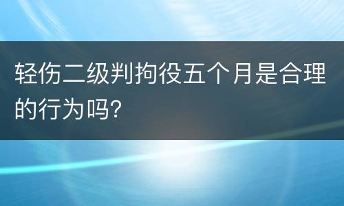 轻伤二级判拘役五个月是合理的行为吗？