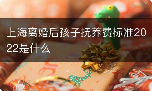 上海离婚后孩子抚养费标准2022是什么