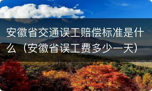 安徽省交通误工赔偿标准是什么（安徽省误工费多少一天）