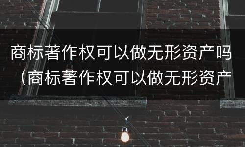 商标著作权可以做无形资产吗（商标著作权可以做无形资产吗知乎）