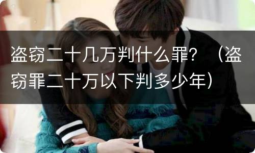 盗窃二十几万判什么罪？（盗窃罪二十万以下判多少年）