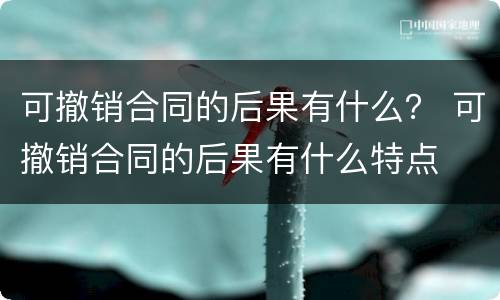 可撤销合同的后果有什么？ 可撤销合同的后果有什么特点