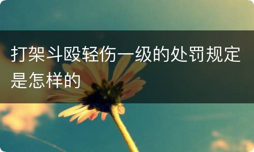 打架斗殴轻伤一级的处罚规定是怎样的