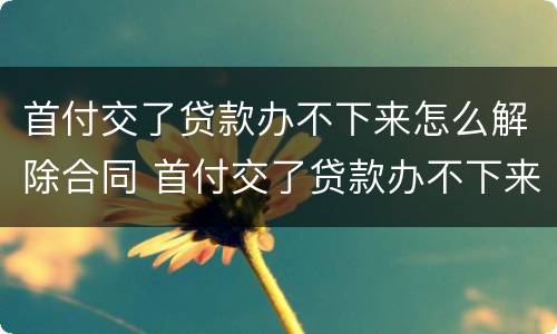 首付交了贷款办不下来怎么解除合同 首付交了贷款办不下来怎么解除合同协议