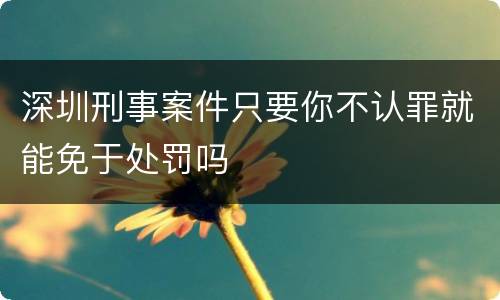 深圳刑事案件只要你不认罪就能免于处罚吗