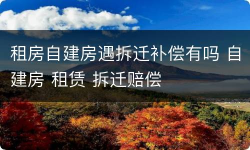 租房自建房遇拆迁补偿有吗 自建房 租赁 拆迁赔偿