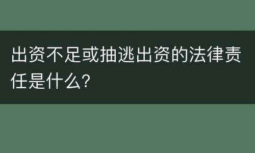 出资不足或抽逃出资的法律责任是什么？