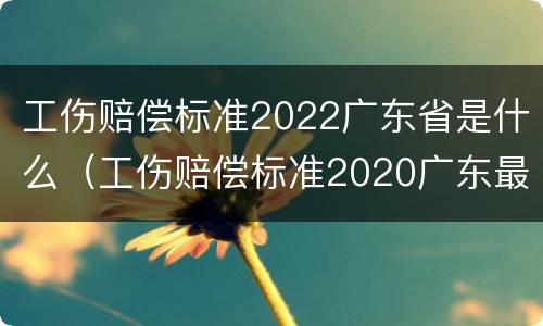 工伤赔偿标准2022广东省是什么（工伤赔偿标准2020广东最新工伤赔偿标准）