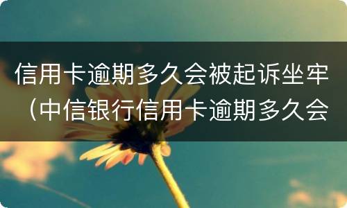 信用卡逾期多久会被起诉坐牢（中信银行信用卡逾期多久会被起诉坐牢）
