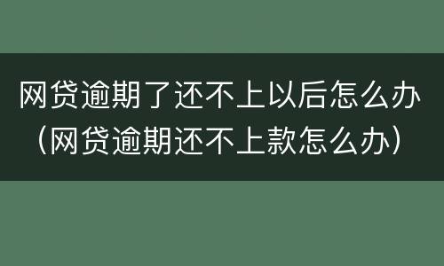 网贷逾期了还不上以后怎么办（网贷逾期还不上款怎么办）