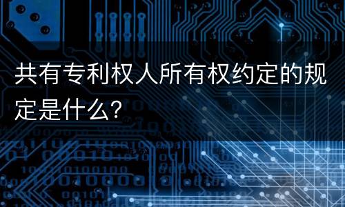 共有专利权人所有权约定的规定是什么？