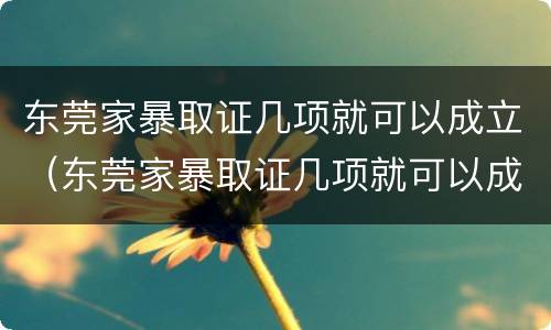 东莞家暴取证几项就可以成立（东莞家暴取证几项就可以成立公司了）
