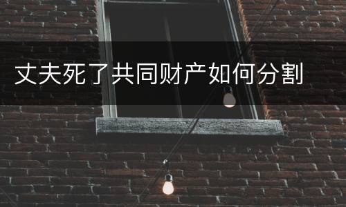 丈夫死了共同财产如何分割