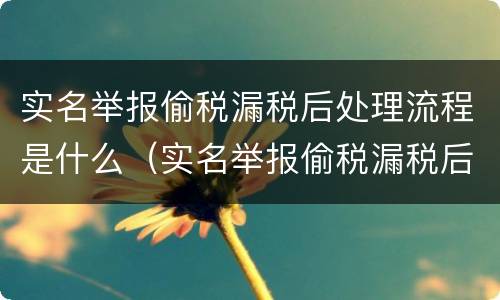 实名举报偷税漏税后处理流程是什么（实名举报偷税漏税后处理流程是什么意思）
