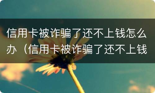 信用卡被诈骗了还不上钱怎么办（信用卡被诈骗了还不上钱怎么办）
