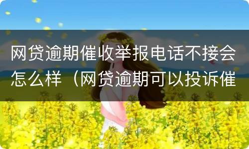 网贷逾期催收举报电话不接会怎么样（网贷逾期可以投诉催收的吗）