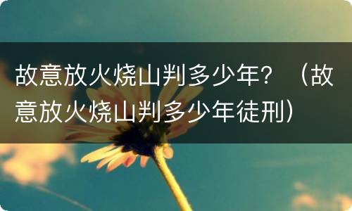 故意放火烧山判多少年？（故意放火烧山判多少年徒刑）