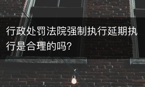 行政处罚法院强制执行延期执行是合理的吗？