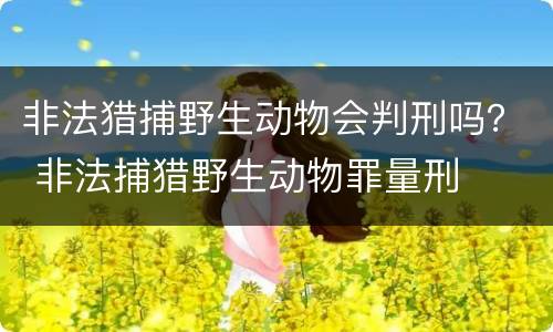 非法猎捕野生动物会判刑吗？ 非法捕猎野生动物罪量刑