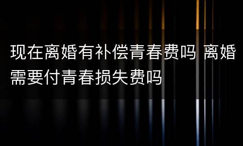 现在离婚有补偿青春费吗 离婚需要付青春损失费吗