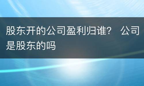 股东开的公司盈利归谁？ 公司是股东的吗