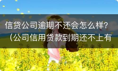 信贷公司逾期不还会怎么样？（公司信用贷款到期还不上有什么后果?）