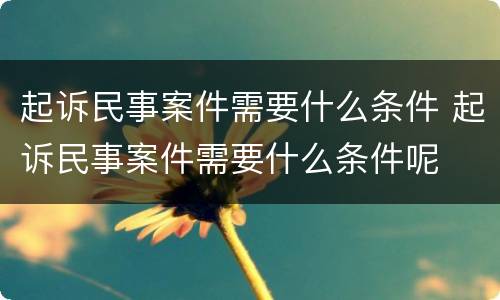 起诉民事案件需要什么条件 起诉民事案件需要什么条件呢