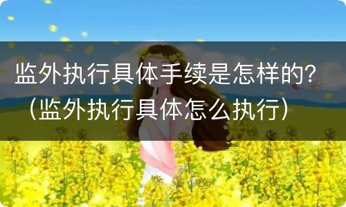 监外执行具体手续是怎样的？（监外执行具体怎么执行）