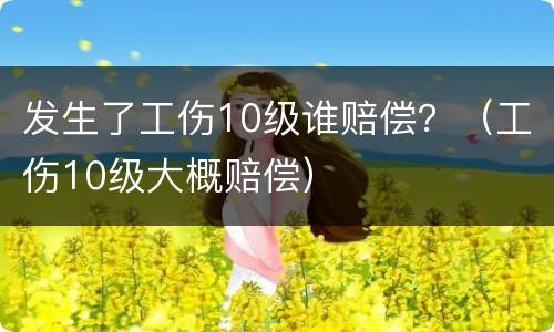 发生了工伤10级谁赔偿？（工伤10级大概赔偿）