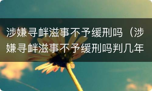 涉嫌寻衅滋事不予缓刑吗（涉嫌寻衅滋事不予缓刑吗判几年）