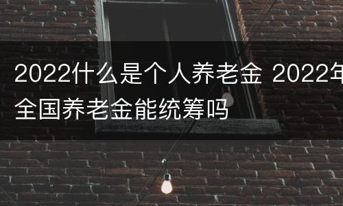 2022什么是个人养老金 2022年全国养老金能统筹吗