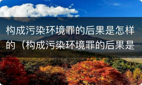构成污染环境罪的后果是怎样的（构成污染环境罪的后果是怎样的呢）